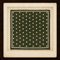 Exhibit 012: Matcha Polka Dot Silk Scarf